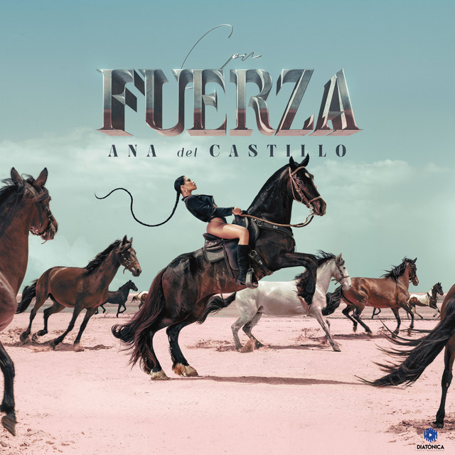 Portada de NO SOY DE ACERO — Ana del Castillo